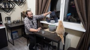 Дорого покупать зимой свежую зелень лучше в горшки высадить самому ПОДВАЛ ИЛЬИЧА сею укроп лук