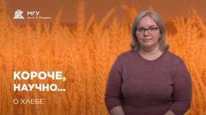 Короче, научно... О хлебе | Иванова Наталья Николаевна