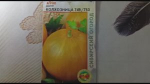 Дыня «Колхозница 749-753» — проверенный временем сорт для сибирского климата