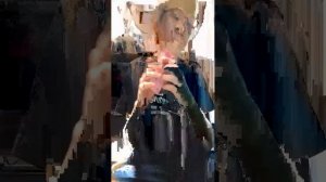 ну просто трансляция