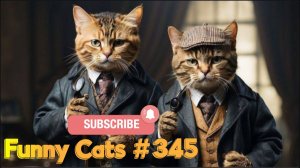 Смешные коты #345