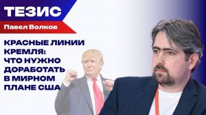 Как Зеленский хочет спасти себя и друзей от правосудия? Волков об амнистии и замороженных активах
