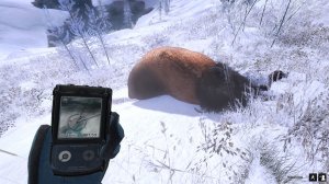 theHunter Classic