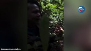 Удивительные эмоции биолога, увидевшего цветение растения впервые за 13 лет