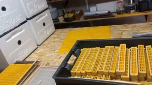 Преимущества Изолятора Миленина!!!