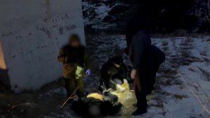 В Алтайском крае сотрудники ФСБ пресекли теракт на железной дороге.