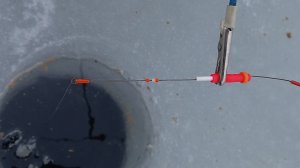 Безмотылка против поплавка