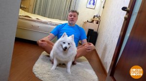 С утра пораньше - заряжаемся энергией! Доброе утро. Фрагмент выпуска от 24.11.2025