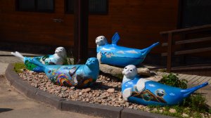 Путешествие 2025.Серия 11/2. Баргузинская долина.Испытание стиральной доской.Кучигер.