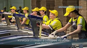 Более 800 млн куриных яиц произвели в Иркутской области