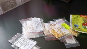 Необходимые условия для получения качественных семян сортовых томатов и перцев