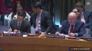 В.А.Небензя на Совете Безопасности ООН по ситуации на Ближнем Востоке, Нью-Йорк, 24 ноября 2025 года