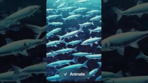 Иосиф Бродский — Рыбы зимой (вар2)