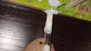 Формикарий, осмотр, меняем систему переселения.