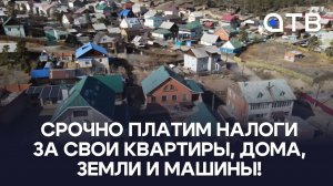 Срочно платим налоги за свои квартиры, дома, земли и машины!