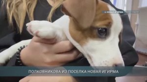 Девочка из Иркутской области получила в подарок от президента России щенка