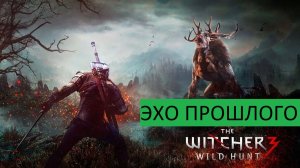 Ведьмак 3 Дикая Охота» Прохождения ЭХО ПРОШЛОГО