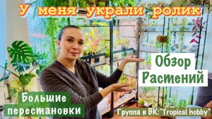 Обзор растений. Большая перестановка. У меня укрыли видео🤬