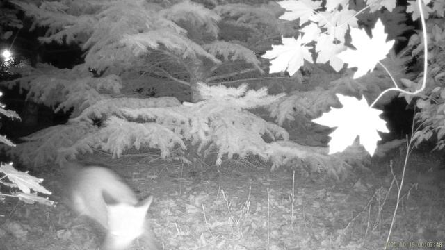 Ночной бой смотреть онлайн