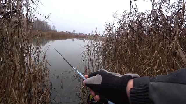 Три Разных Водоема за Один День Рыбалка на Окуня на Спиннинг Микроджиг