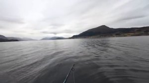 Вот где вся рыба! КОСЯКИ… Ноябрьская рыбалка с лодки в Норвегии