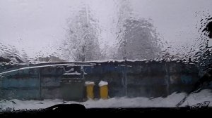 #4969 /24-11-25 г./ Из Пушкина...