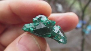 Диопатаз купить