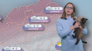 Новое утро_25.11.25