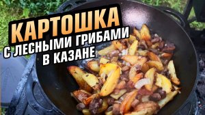 Как приготовить жареную картошка с грибами в казане на костре. Делюсь рецептом.