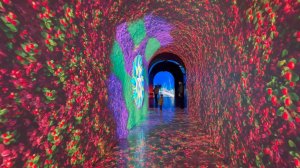 Парк Галицкого с каждым днем все краше Обзор.