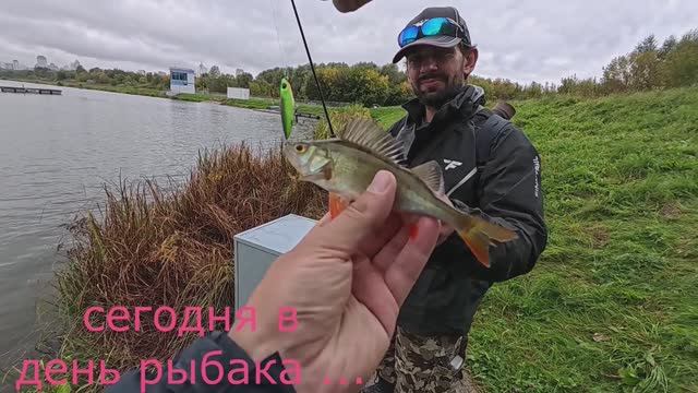 БЕШЕНЫЙ КЛЁВ ОКУНЯ или как половить в условиях города ?