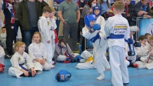 Область спорта №338