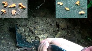 Потайная яма с самородным Золотом!