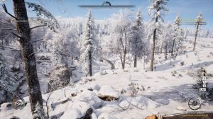 Medieval Dynasty #13.2