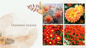 Осенние цветочные чудеса 1! Яркие осенние волшебные краски!!!
