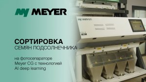 Сортировка семян подсолнечника