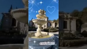 VID-20251123-WA0000.mp4