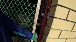 Влог от 10.10.2021