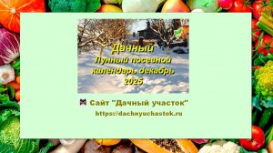 Лунный посевной календарь на декабрь 2025 года для садоводов и огородников