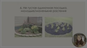 Вся правда о природных малодоходных садах. Как создать малодоходный сад. Садоводство.