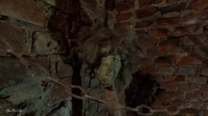 Орденский замок Шаакен 2020г.