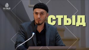 СТЫД - ШАМИЛЬ МАГОМЕДОВ