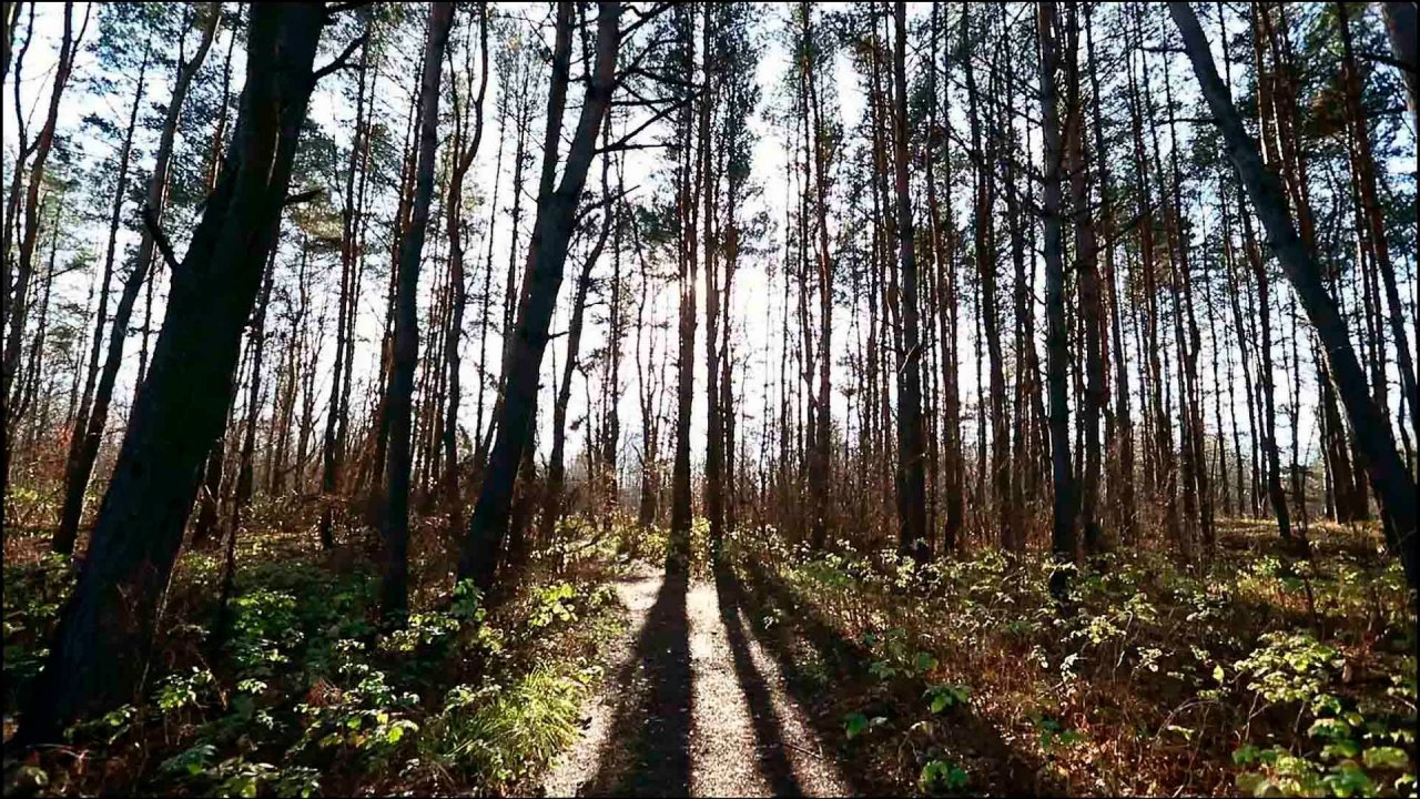 Eschaton - Tony Anderson Rework смотреть онлайн