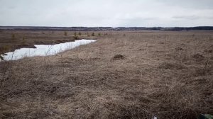 8. Металлокоп с Quest X5. Обочина. Мастерская в 500 метров от дома.