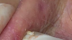 Relax Spa 009 • АСМР • SacDepSpa collection