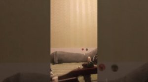 играл на гитаре