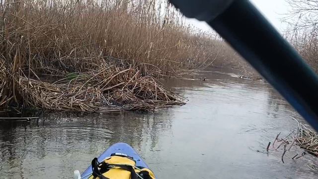 Река Толучеевка 23.11.2025