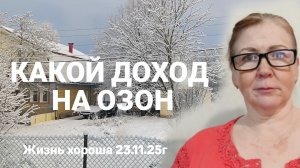 НЕ ХОЧУ РАБОТАТЬ НА ОЗОН _ ЖИЗНЬ В ДЕРЕВНЕ _ ЖИЗНЬ ХОРОША 23.11.25г