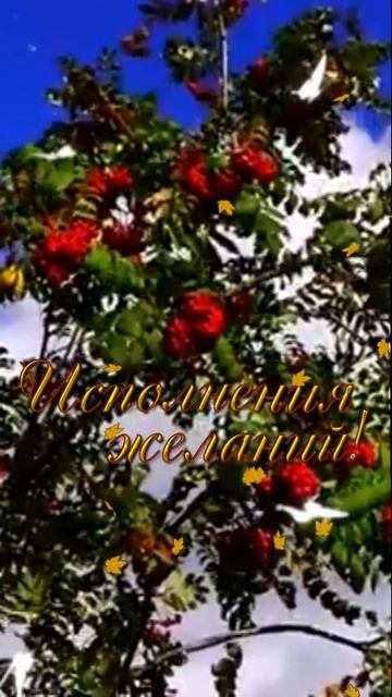 Добрый день! Улыбнись, как прекрасна жизнь! Good afternoon! Smile, how beautiful life is! Подпишись смотреть онлайн