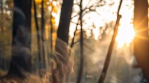 доброе утро нового дня картинки с пожеланиями